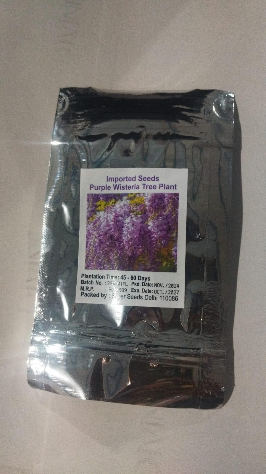 The Garden's Cascading Beauty All Year Round