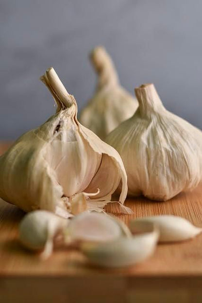 Garlic seeds ( Pack of 20) + Free Plant Growth Serum