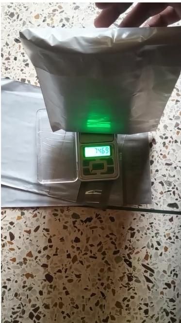 Garlic seeds ( Pack of 20) + Free Plant Growth Serum